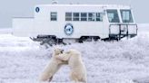 I Traveled to the World's 'Polar Bear Capital' to See These Wild Animals Up Close — Here’s What I Learned