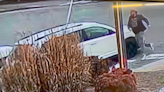 Passenger in alleged West Asheville crosswalk murder out of jail; bond was set at $500,000