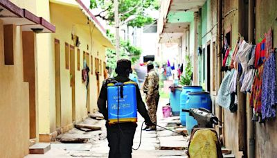 7,000+ dengue cases in state, ​​Chief Minister Siddaramaiah wants mosquito breeding sites wiped out