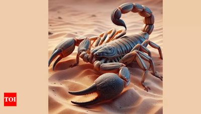 The Spirit Animal of Scorpio: The Enigmatic and Powerful Scorpion - Times of India