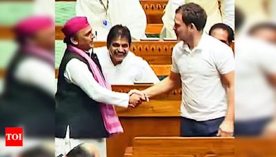 Rahul Gandhi takes oath with Constitution in hand, stirring political statements in Lok Sabha | Delhi News - Times of India