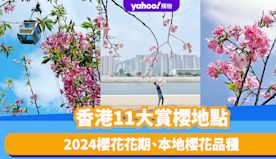 香港櫻花2024｜香港11大賞櫻地點推介！沙田城門河/東涌櫻花園...