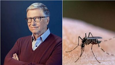 Por qué Bill Gates tiene una fábrica para producir mosquitos