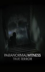 Paranormal Witness