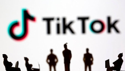 TikTok turns to experts amid government scrutiny in Africa