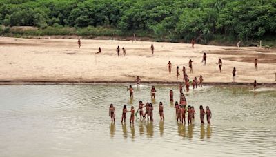 Rare Video Shows Isolated Indigenous Tribe Emerging From Amazon Amid Nearby Logging