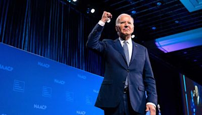 What happens if Biden drops out of the 2024 presidential race?