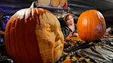 From apples to haunted houses, here's your guide to fall fun in Manitowoc and Sheboygan
