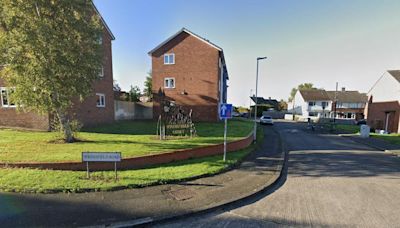 Man arrested on suspicion of murder after stabbing