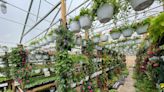 Greenhouse at Whiteford High School open through June 4