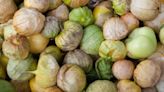 Tomatillos are easy to grow in the home garden: Follow these tips