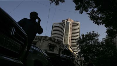 Stock Market October Holidays 2024: NSE, BSE shut for a day next week; check MCX details