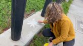 Family covers swastikas with chalk art in viral TikTok