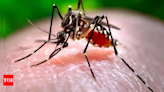 Maharashtra: Two Zika virus cases reported in Pune | India News - Times of India