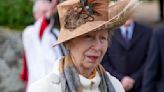 King's sister Princess Anne hospitalized with concussion, minor injuries