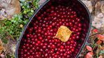 Creative Cranberry Recipes for Thanksgiving and Beyond