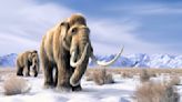 Scientists just made a big breakthrough with woolly mammoth DNA