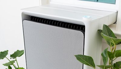 The Next Heat Pump Frontier? NYC Apartment Windows