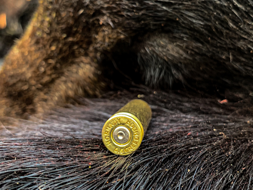 Hunting Black Bears with the 6.5 Creedmoor