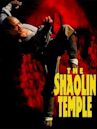 The Shaolin Temple