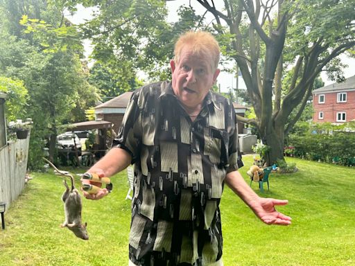 Etobicoke residents plead for help amid rat infestation