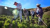 Trabajadores con habilidades blandas y técnicas son muy cotizados en agro, manufactura y construcción