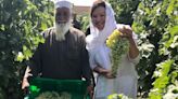 Nobel Prize Nominee Explains How California Wine Industry Helped Her Create ‘Roots of Peace’