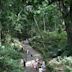 Ubud Monkey Forest