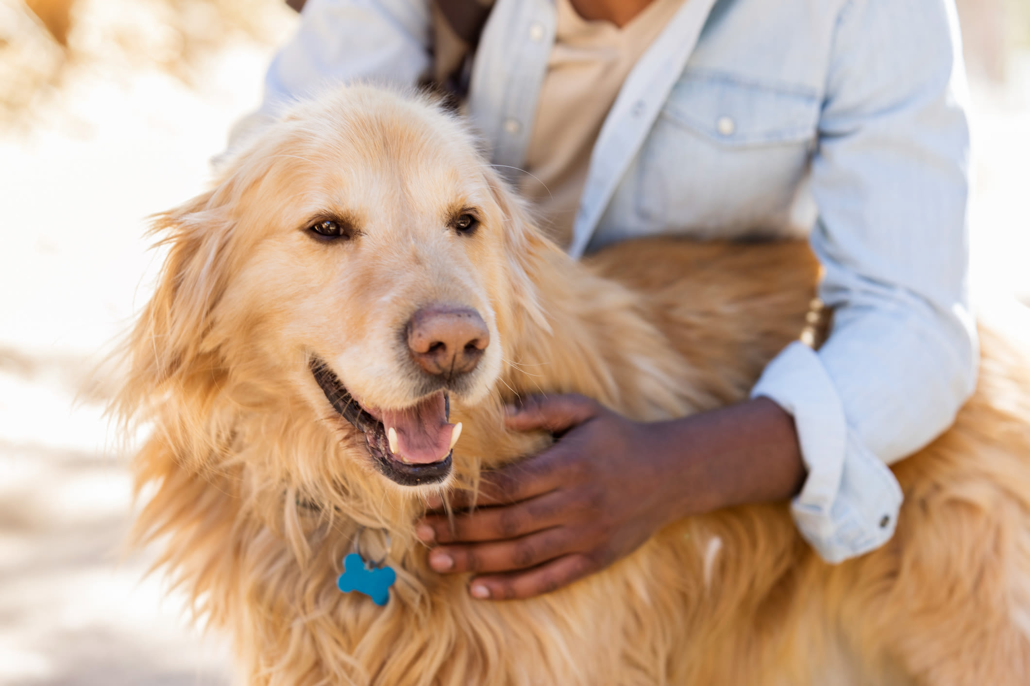 This Black-Owned Pet Food Startup Has Raised Millions Of Dollars To Offer Healthier Choices For Pet Owners