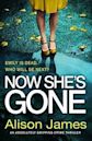 Now She's Gone (Detective Rachel Prince #2)