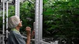 Medical marijuana company will grow all its Georgia cannabis in Macon. See the facility.