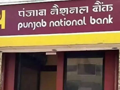 Rs 13,000 crore PNB scam: CBI plea for custody of ex-Gitanjali Group international head rejected | Mumbai News - Times of India