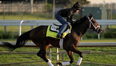 Repole busca acabar con su mala suerte; su potro Fierceness es favorito en Derby de Kentucky