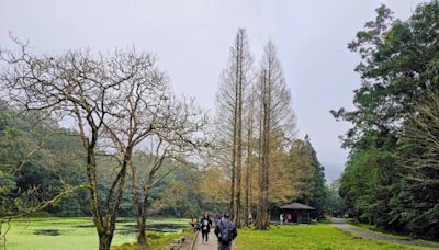 〈中華旅遊〉遊福山植物園 探台灣品種全貌