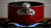 Gas or Electric? Talk of a Stove Ban Sparks Debate About Which Cooks Better