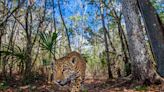 Winners of the Nature Photographer of the Year contest show the beauty and fragility of the natural world