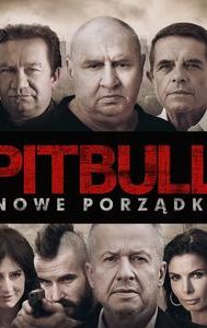 Pitbull. Nowe porządki