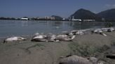 An overdue Olympic pledge to restore Rio de Janeiro’s lagoons is finally taking shape - WTOP News