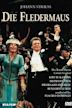 Die Fledermaus