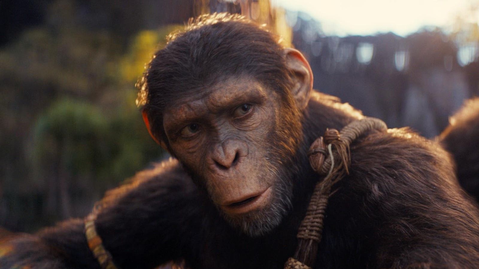 ‘Kingdom Of The Planet Of The Apes’ Star On Meaning Of Telescope Scenes