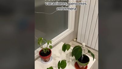 El invento de una enfermera para regar las plantas cuando te vas de vacaciones que triunfa en redes