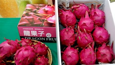 台灣水果外銷再傳捷報 紅龍果經8年諮商獲准輸入日本