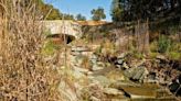 Eye on the Hills: Trout seen in creek at Sibley Volcanic Regional Preserve