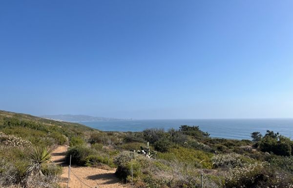 Hike of the week: A journey through Torrey Pines State Natural Reserve is the perfect kick-off to summer