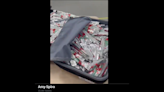 Americans caught smuggling 375 pounds of Fruit Roll-Ups into Israel. TikTok is blamed