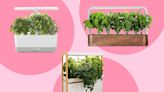 The 7 Best Indoor Garden Systems of 2022