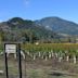 Mount Saint Helena