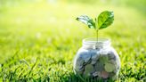 Council Post: Accelerating Growth Of Green Business To Help Reach Net-Zero Emissions