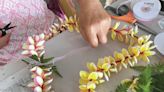 Kokua Line: Is it OK to reuse graduation lei for Memorial Day?