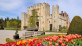 Winston Churchill’s oil painting of Hever gardens returns home to castle